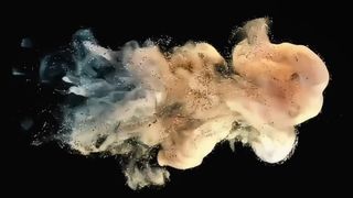 Toshiba Developer Powder D5070 500g για e-STUDIO